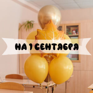 Шарики на 1 сентября